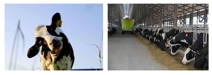 QMH官网丨每天一杯奶，幸福健全喝出来。。