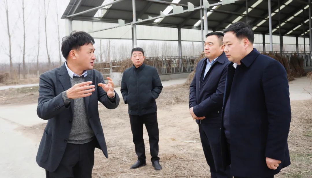 阐扬产业优势 助力村落振兴 | 民权县委副书记、县长王静娴会见关晓彦董事长一行