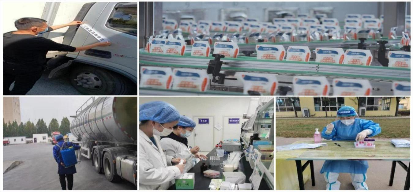 QMH官网 | 让牛奶和面包传递抗疫温暖力量