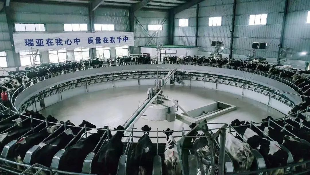 喜讯 | QMH官网一座自有牧场入选河南省“DHI测定优良牧场”