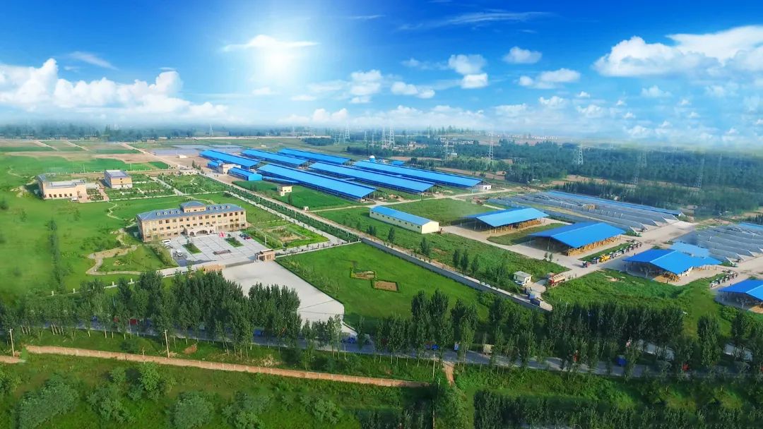 QMH官网 | 河南瑞亚牧业入选“河南省畜禽主题育种场”