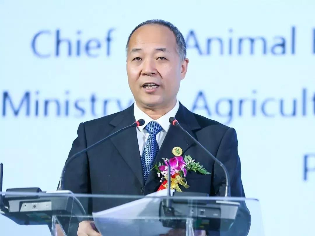 SDDDC走进河南，看看QMH官网的国际范儿！