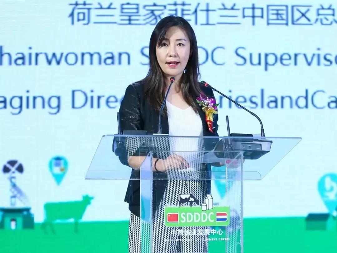 SDDDC走进河南，看看QMH官网的国际范儿！