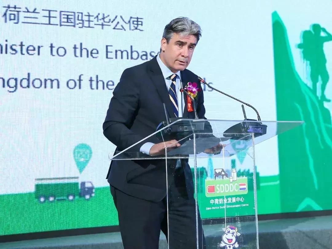 SDDDC走进河南，看看QMH官网的国际范儿！