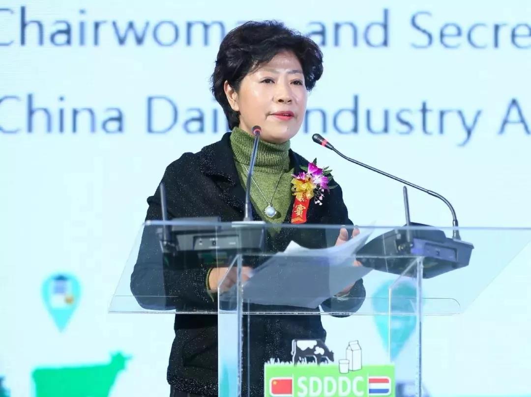 SDDDC走进河南，看看QMH官网的国际范儿！