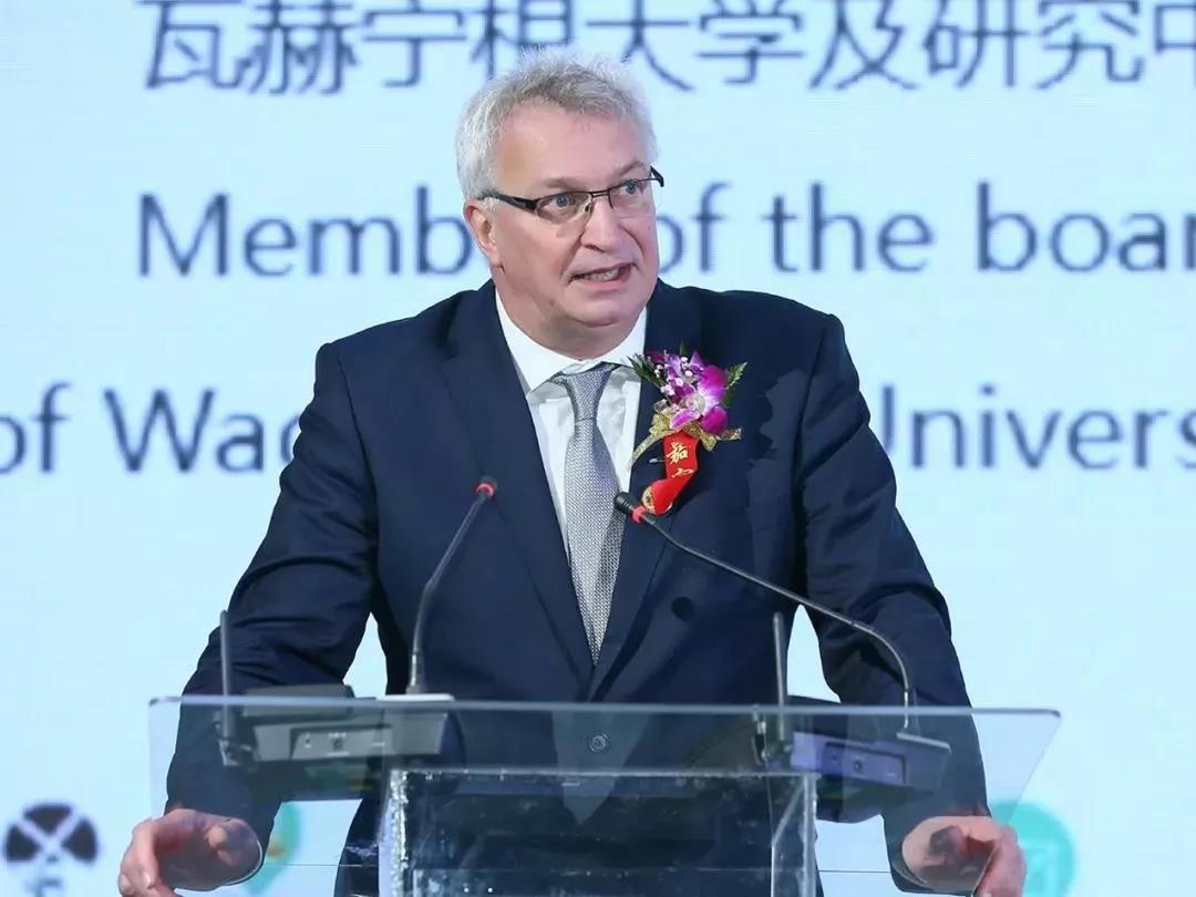 SDDDC走进河南，看看QMH官网的国际范儿！