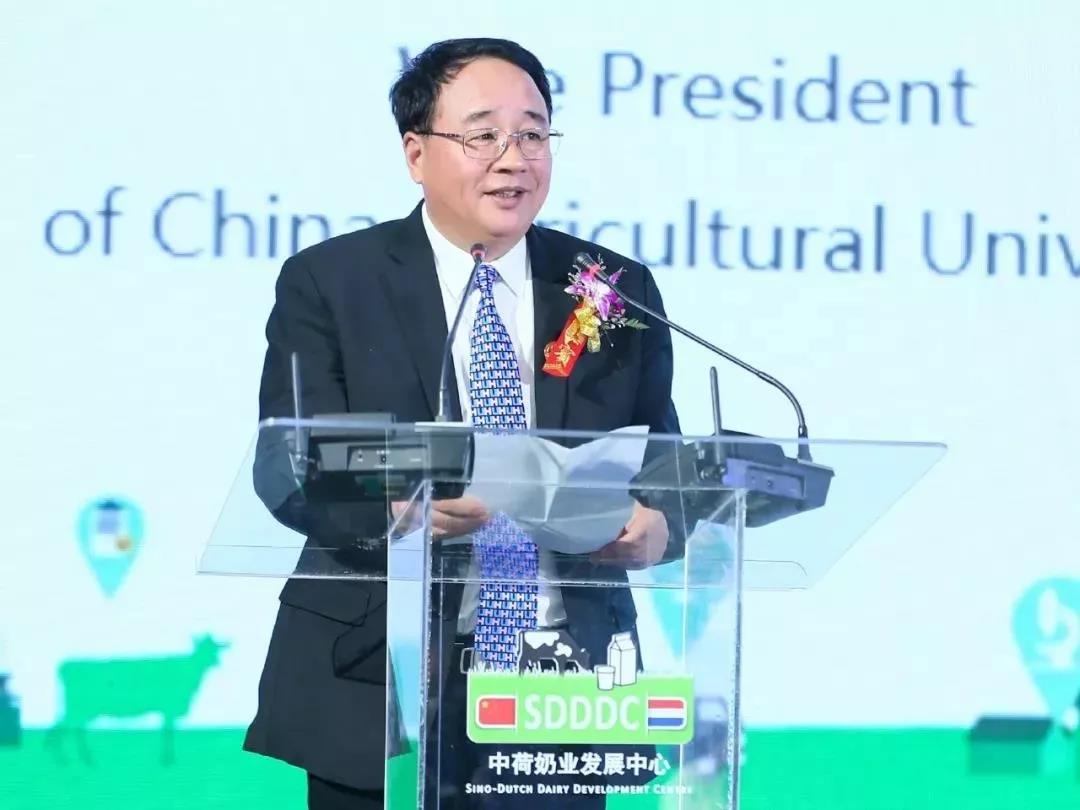 SDDDC走进河南，看看QMH官网的国际范儿！