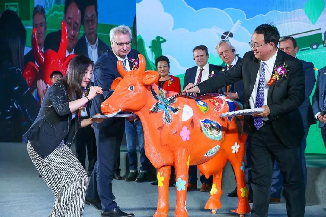 SDDDC走进河南，看看QMH官网的国际范儿！