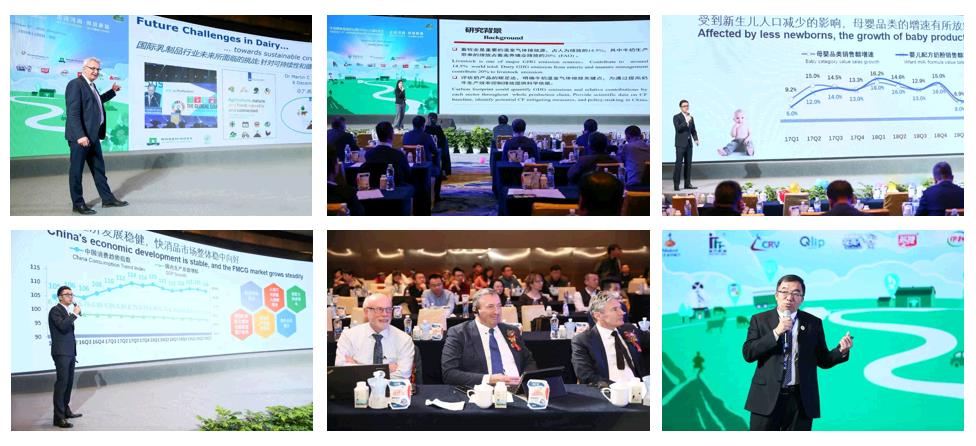 SDDDC走进河南，看看QMH官网的国际范儿！