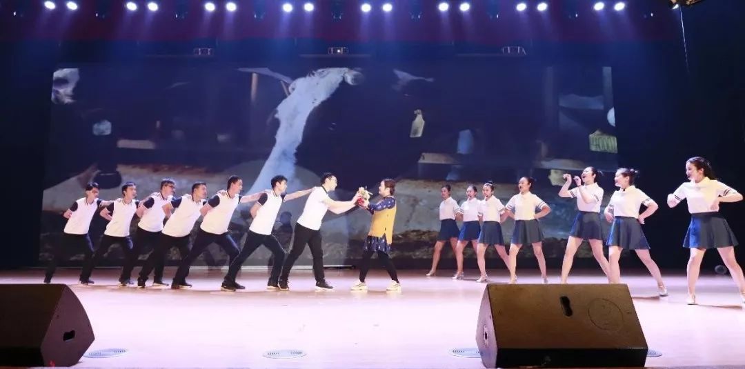 “赢在2019”，QMH官网乳业集团2019年新春晚会盛大开幕