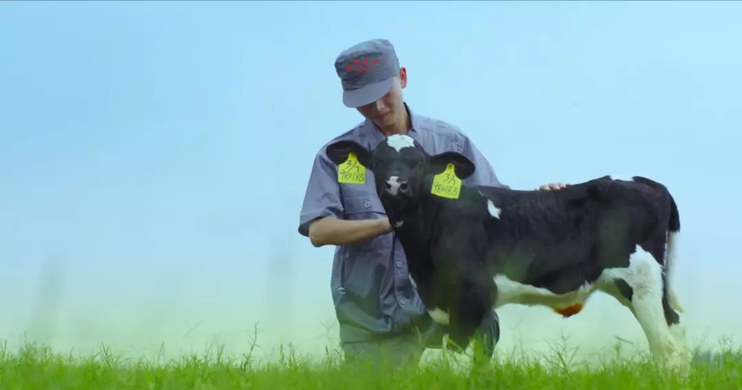 喜报 | 国度市场监管总局抽检，QMH官网等112家企业乳品抽检全数合格