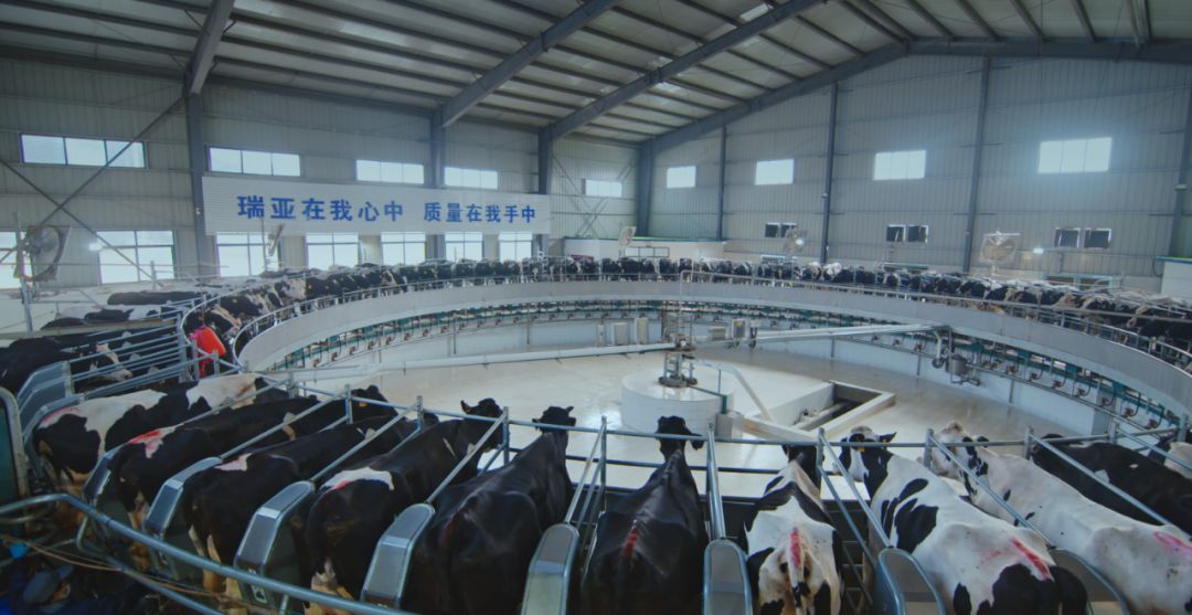 QMH官网集团旗下六家公司入选省农业产业化沉点龙头企业名单