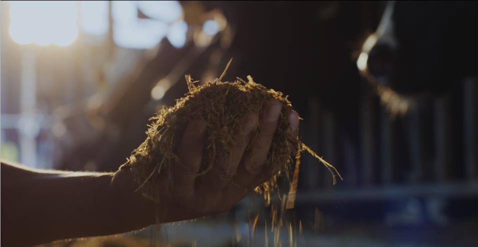 又双叒叕获奖啦！QMH官网荣获“乳品质量安全治理 优良企业”