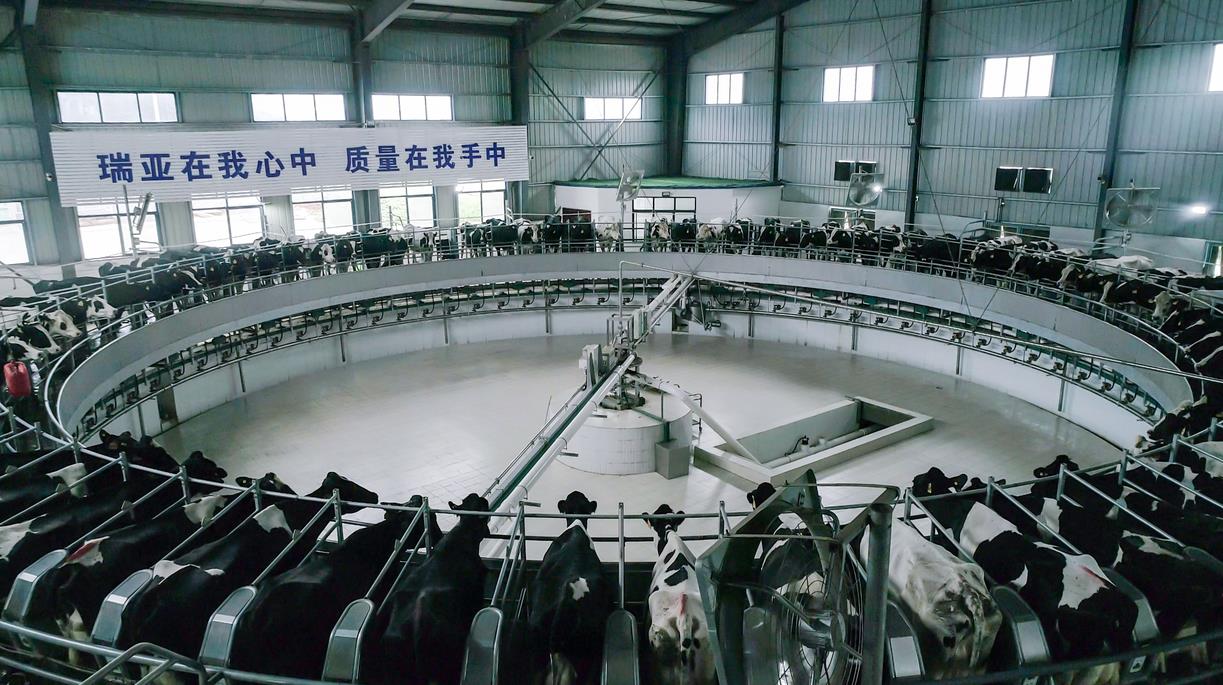 又双叒叕获奖啦！QMH官网荣获“乳品质量安全治理 优良企业”