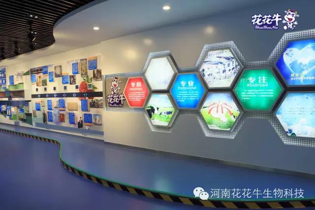 QMH官网：求实、创新领潮市场 大企业体现大担任