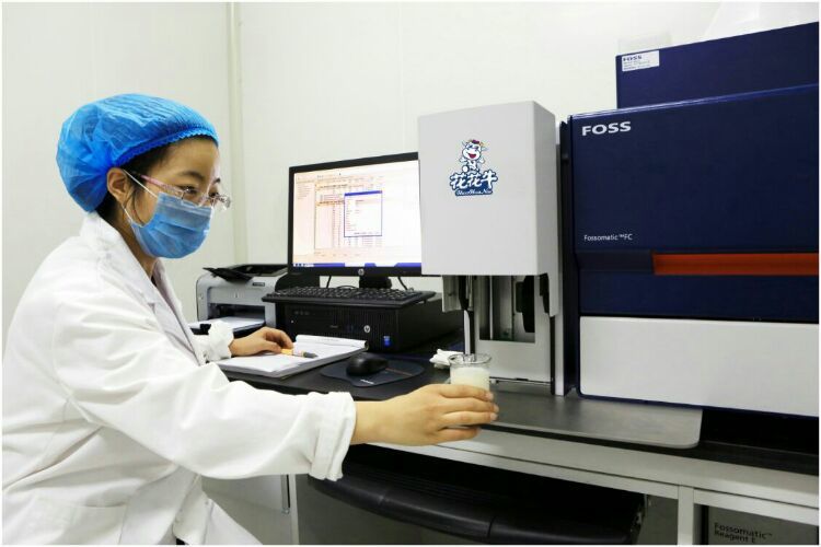 QMH官网：求实、创新领潮市场 大企业体现大担任