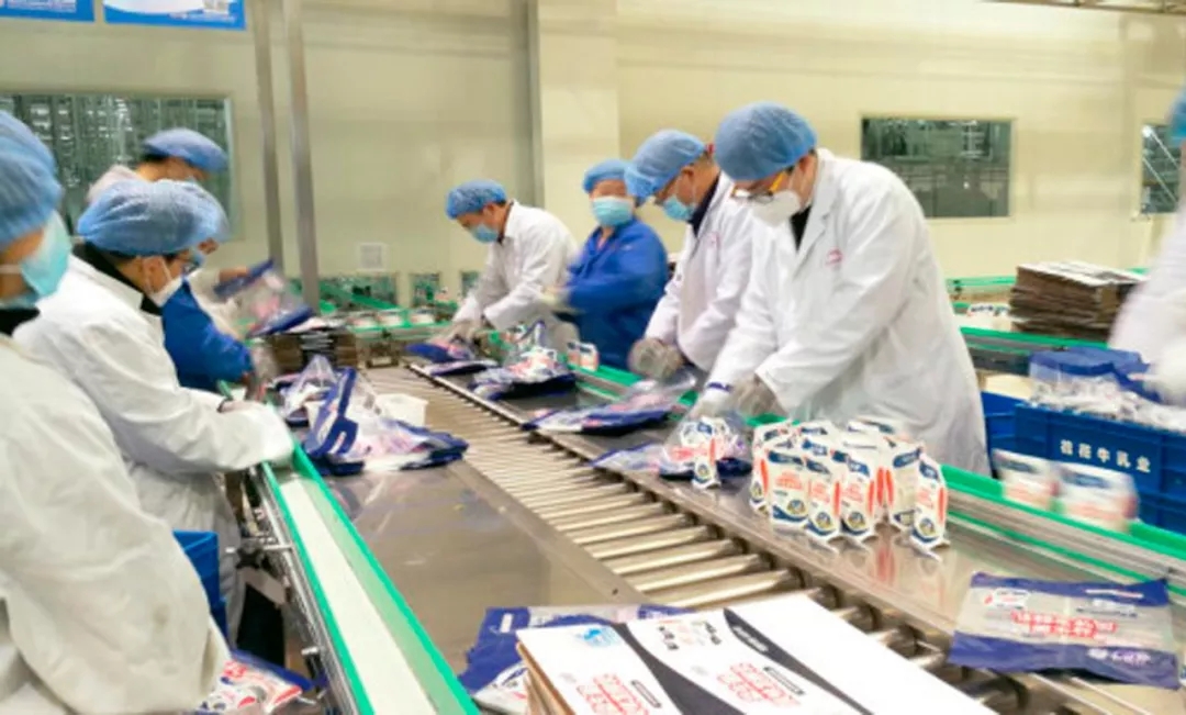 快讯丨河南省副省长武国定光临QMH官网乳业集团调研沉点保险企业复工复产情况