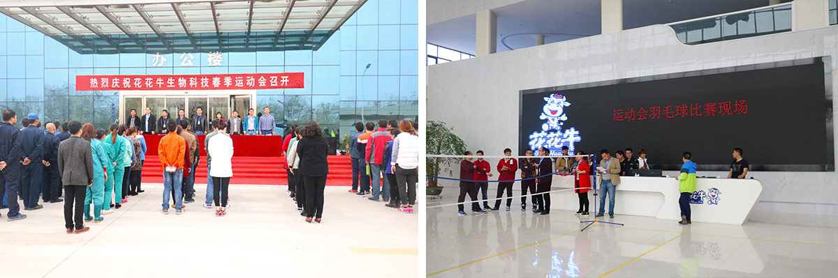 河南QMH官网生物科技有限公司进行2016年春季活动会