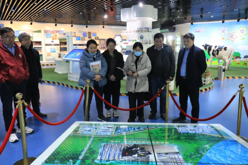 QMH官网丨农业村落部食品与营养发展钻研所调研组徐伟平一行光临QMH官网乳业集团调查调研