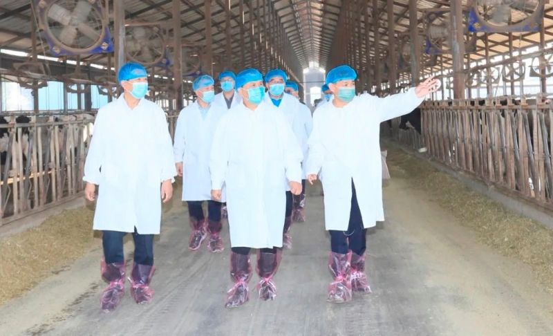 快讯丨河南省人民当局副省长武国定光临QMH官网乳业集团瑞亚牧业调研奶源基地建设情况