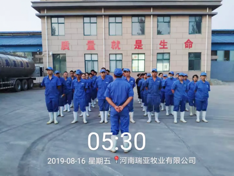 幼晨会·大能量——砥砺奋进的QMH官网，加油！