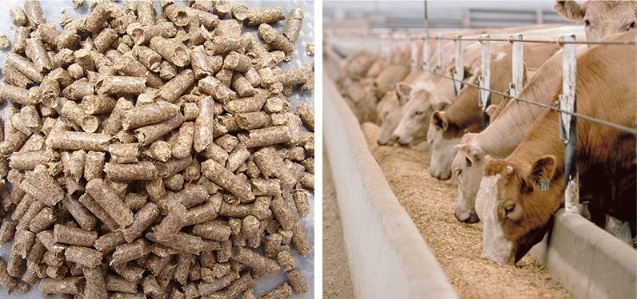 热烈祝贺河南全赫饲料有限公司获得质量治理和食品安全治理 系统认证证书