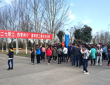 2017QMH官网健步走